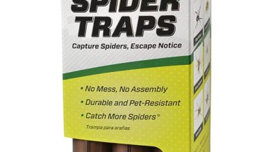 Photo of RESCUE!® Spider Traps