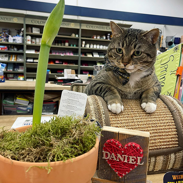 How a Store Pet Became a Marketing Star & More in the May/June Issue