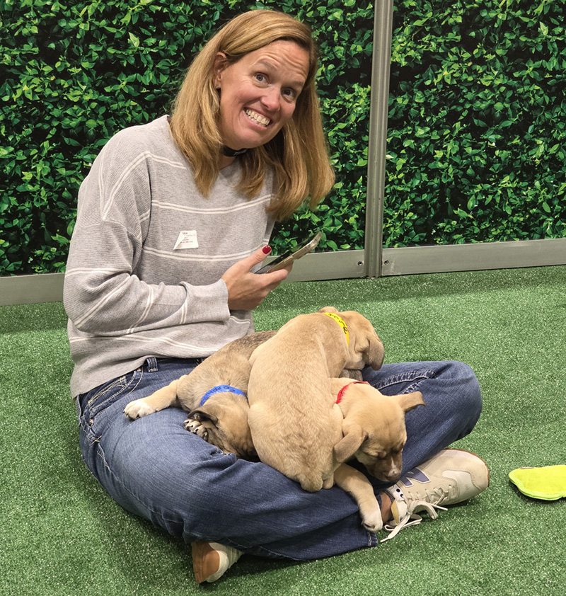 Inside Orgill’s 2026 Dealer Market: Buying, Strategy and Store Concepts 12 Puppy Lounge Inside Orgill’s 2026 Dealer Market: Buying, Strategy and Store Concepts